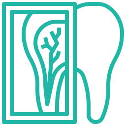 pediatric dental checkup